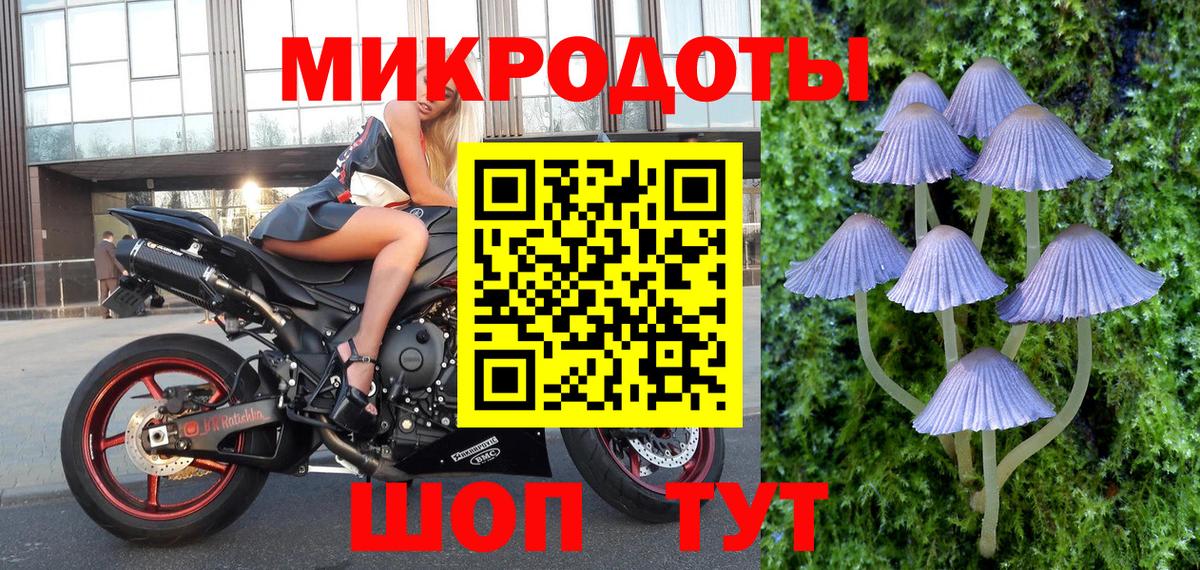 Псилоцибиновые грибы Psilocybine cubensis Пенза