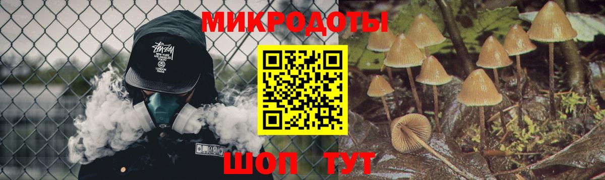 Пенза  Галлюциногенные грибы ЛСД  наркота  Вход с VPN 